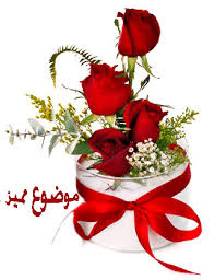 ���� ���� ������ �� ���� ������