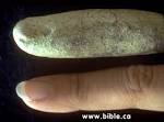 Fossilized Human Finger: Found in a formation famous for its ...