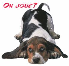 °0o. concours .oO° -- nos chiens en plein jeu --  Images?q=tbn:ANd9GcRZz6uvnFx5kIN_L1xLqiL1qILwgr2JzjUZS836_nuZxFtJ2jOo9Q