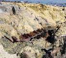 Shipwreck remains, Bangor - via Daymix