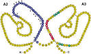 <b>factor IX</b> binding sites.