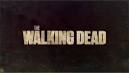 THE WALKING DEAD (TV series) - Wikipedia, the free encyclopedia
