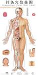 Acupuncteur acupuncture infos point d