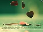 Love HD Wallpaper #