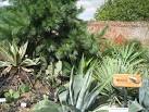 World Garden - Mexico - via Daymix