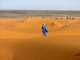Desert walker