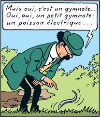 #image introuvable#