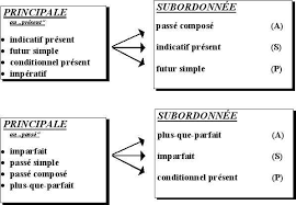external image images?q=tbn:ANd9GcRaQz6iP67tJNKLHeEEnJ22egpSnsSxdgAv5GsGIyaw2InM9eM9