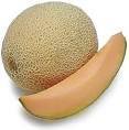 Sanitized cantaloupes are susceptible to Salmonella ...