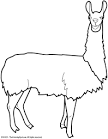 Llama coloring page