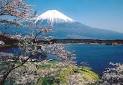 fuji