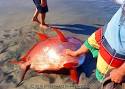 Jon Schwartz's Blog: Fishing, Photography, and Travel: Strange ...
