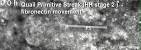 File:Quail HH stage 2 fibronectin movement.jpg - Embryology