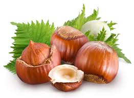 images?q=tbn:ANd9GcRbQba2TY1L6HtrUWldv7K-s9SGhFt3BJXt0rfMUq6uj2hwqzjE