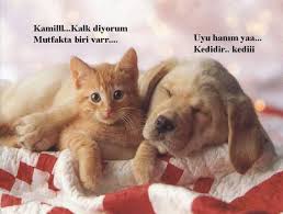 images