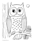 Owl coloring page