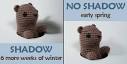 groundhog3.jpg