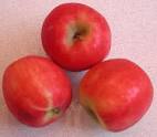 Apples, Pink Lady® or Cripps - Ingredients Descriptions and Photos ...