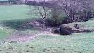 Animal crossing point across the river Gwili; West of the A482 Link - via Daymix