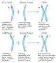 Genetic Engineering: Redrawing the Blueprint of Life (Children's ...