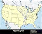 Migration Flyways: Mississippi Flyway