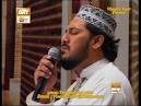 zulfiqar ali naats URDU