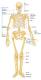 See full size image