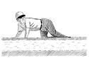 http://www.hobartpulp.com/website/april/famousshortstop.jpg