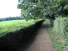 work on natural selection - via Daymix