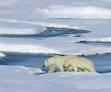 Michael Markarian: Animals & Politics: Citizen Advocacy