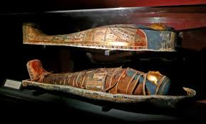 external image images?q=tbn:ANd9GcRcnxGysA1umUZU3ua-Qqiwg4ISI-aFWh18kfggj7lg4-6pa93kmA