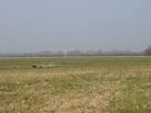 parachuting and gliding - via Daymix