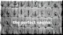 vagina terbesar di dunia » Download all your Graphics Need ...