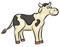 Learn how to draw a cow