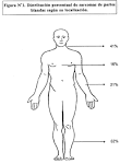 <b>extremidad inferior</b>
