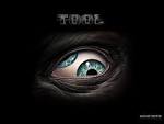 Image Tool song, and Tool is my Picture