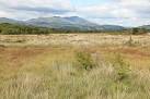 Duddon Mosses National Nature - via Daymix