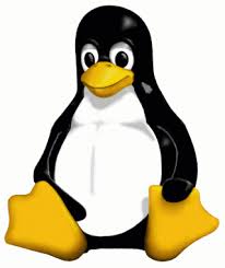  Linux Quick Begin   Easy methods to Use Linux Video Tutorials from CD and Run Linux in Home windows