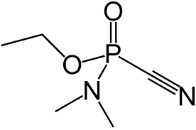 images?q=tbn:ANd9GcRdUC6euukWsLXm7xSGDvnSYeV-1jtSYs2nzbHlvJd5-NhwTTyN