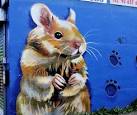 a hamster or a guinea pig. - via Daymix