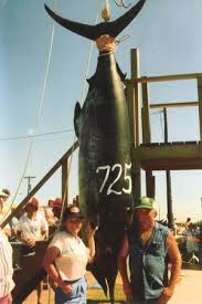 images?q=tbn:ANd9GcRdfEtmnNh1a1vq_bAeJh9zI0poZ3ZhnR4xgXmuZVgREFE8FW8o