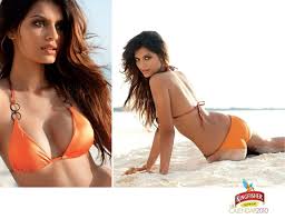 Hot Kingfisher Models