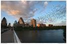 The Congress Avenue Bridge Bats | TransactAustin.