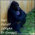 picture of Dhedet Pratama Teknisi Jaringan images wallpaper