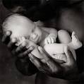Anne Geddes