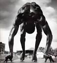 Athletic Performance | Proargi