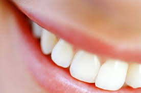 http://t3.gstatic.com/images?q=tbn:ANd9GcReGLuwvZMHcpUu3NU_BVcTYr9IgxzVoN4NfwfYwVMr1ZrdU7GzPg