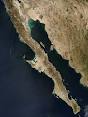 Baja California peninsula - Wikipedia, the free encyclopedia
