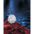 Jewelry - Page 81 - Eloge de l'Art par Alain Truong