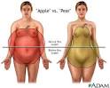 Body Shape Calculator Find out if you have a apple body shape or a ...